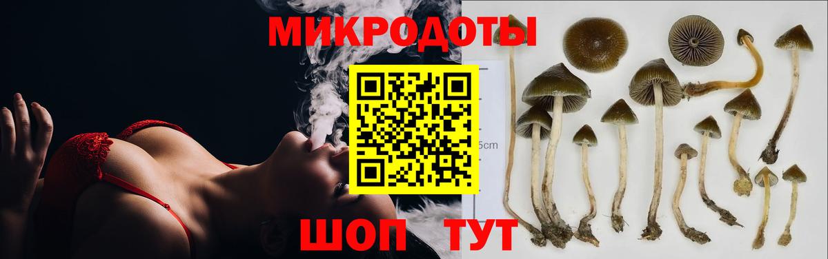 Уссурийск  Галлюциногенные грибы мицелий  Вход с VPN 